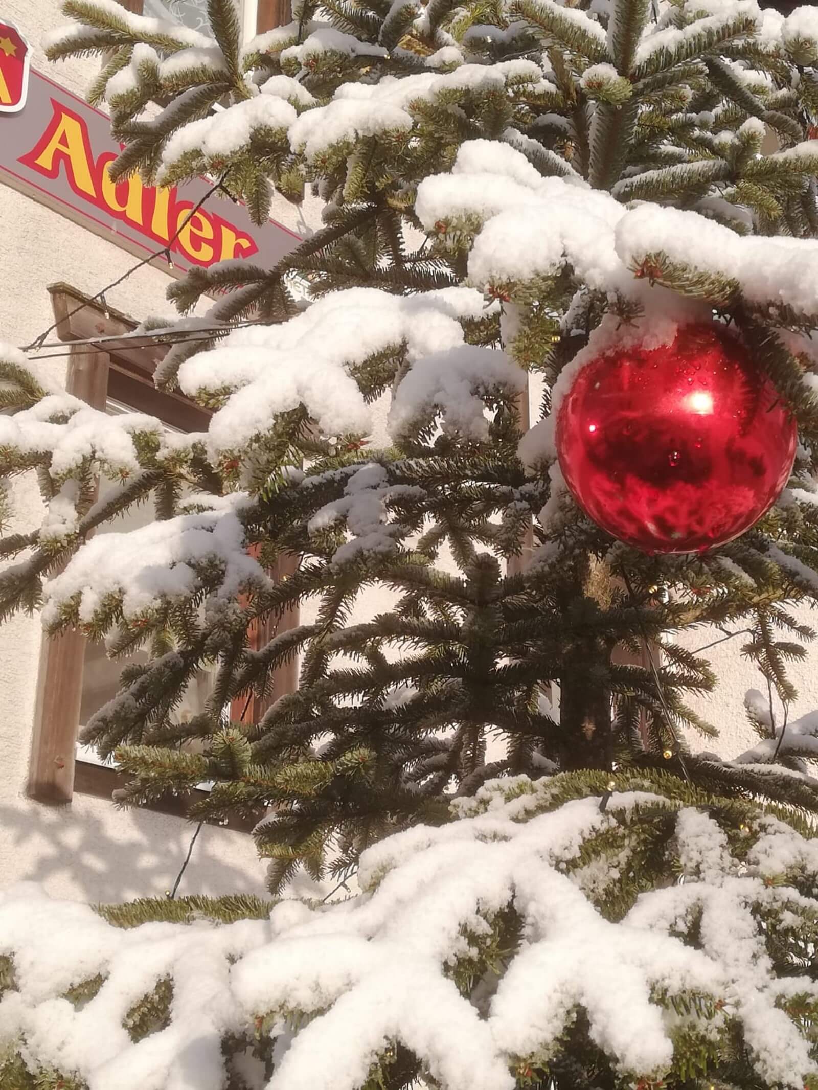 weihanchten-schnee-schwarzwald-ruhe-urlaub-hotel-adler-gasthof-fohrenbuel (4)